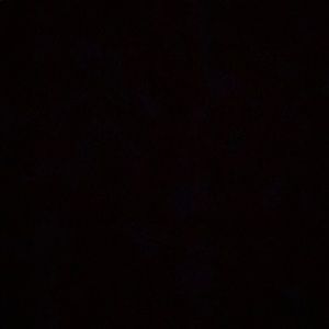 Meet your Posher, Savannah